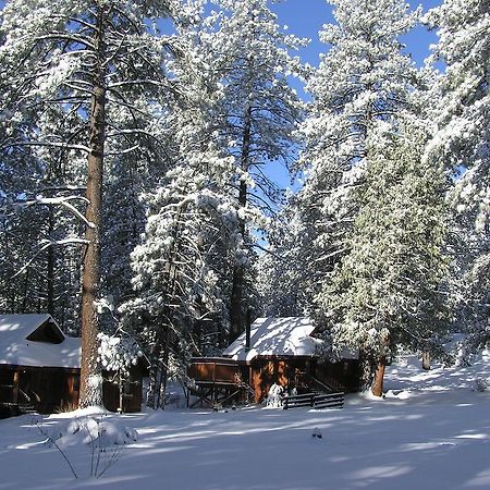 Quiet Creek Inn Айдлуайлд Экстерьер фото