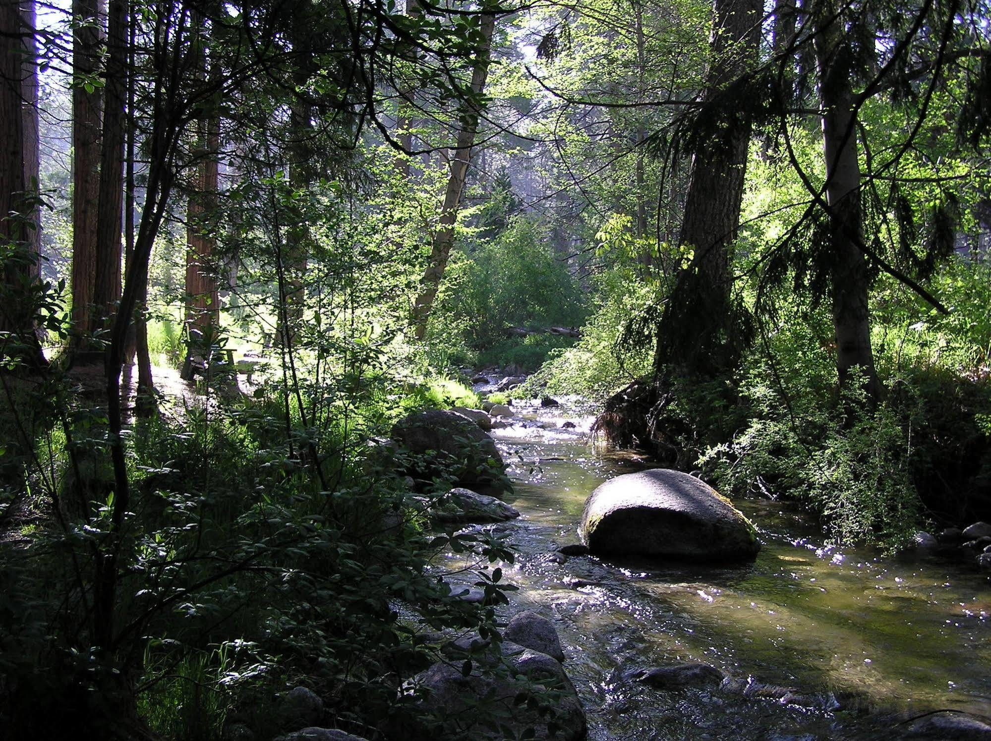 Quiet Creek Inn Айдлуайлд Экстерьер фото